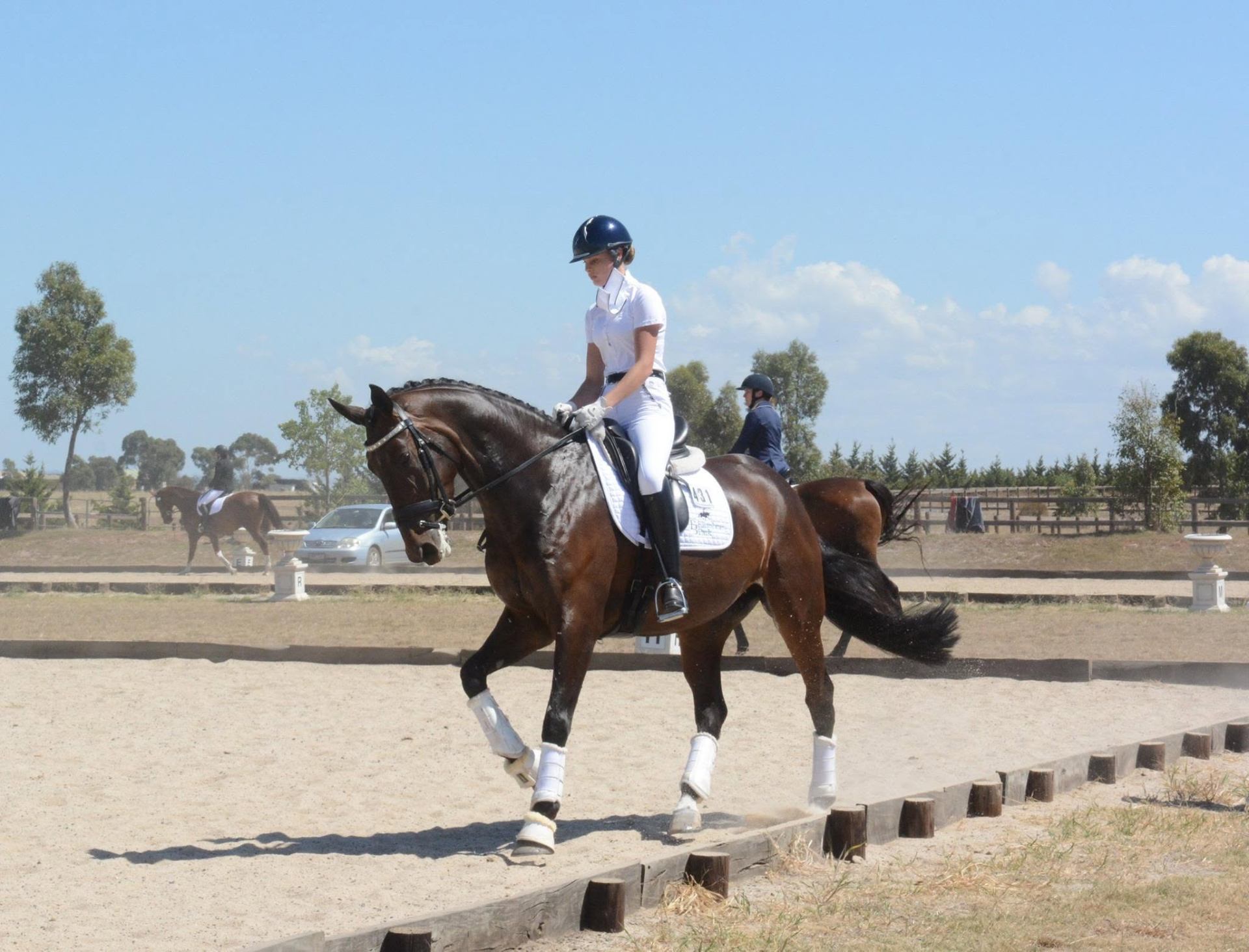El.St. Horizonte De Jeu — broodmare at Endeavour Warmbloods